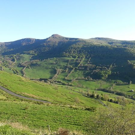 Hotel Auberge Du Col De Neronne Le Falgoux Zewnętrze zdjęcie
